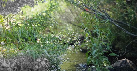 598 Longhorn Drive, Loyalton, CA 96118 Photo