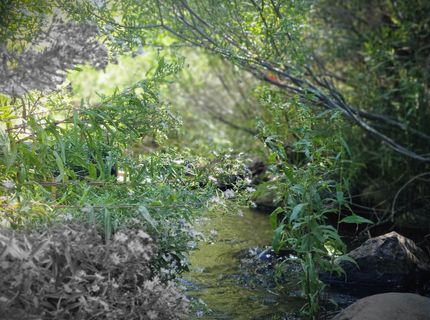 598 Longhorn Drive, Loyalton, CA 96118 Photo