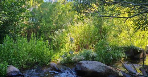 598 Longhorn Drive, Loyalton, CA 96118 Photo