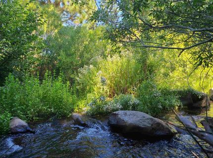 598 Longhorn Drive, Loyalton, CA 96118 Photo