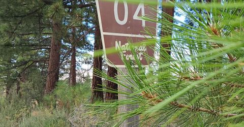 598 Longhorn Drive, Loyalton, CA 96118 Photo