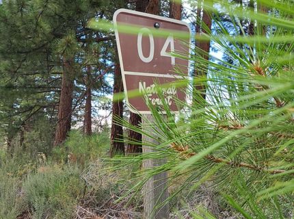 598 Longhorn Drive, Loyalton, CA 96118 Photo