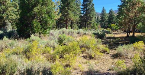 598 Longhorn Drive, Loyalton, CA 96118 Photo