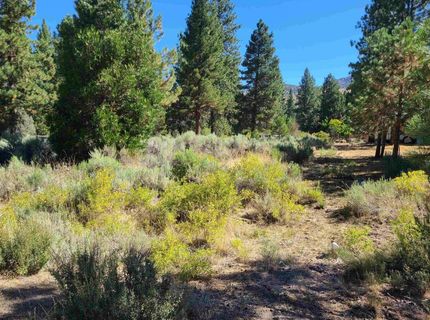 598 Longhorn Drive, Loyalton, CA 96118 Photo