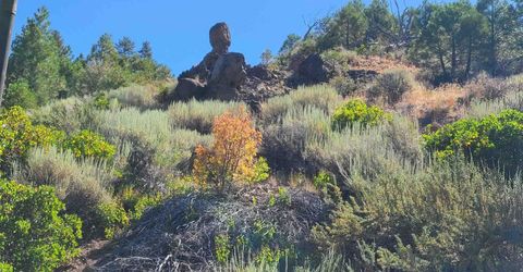 598 Longhorn Drive, Loyalton, CA 96118 Photo