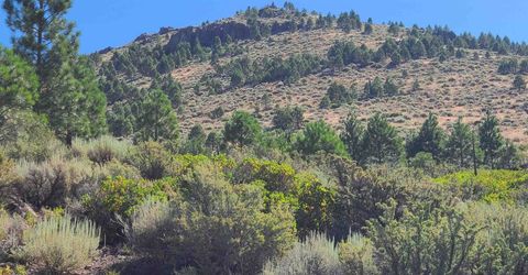 598 Longhorn Drive, Loyalton, CA 96118 Photo