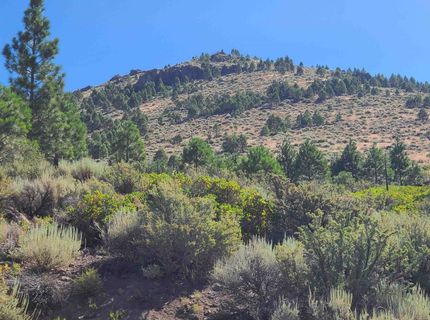 598 Longhorn Drive, Loyalton, CA 96118 Photo