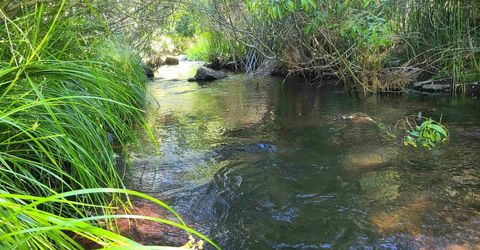 598 Longhorn Drive, Loyalton, CA 96118 Photo