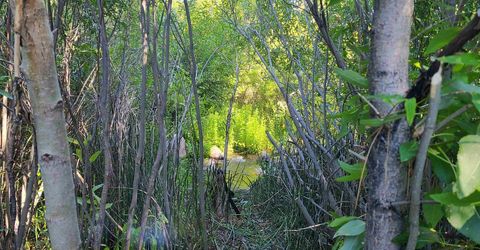 598 Longhorn Drive, Loyalton, CA 96118 Photo