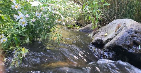 598 Longhorn Drive, Loyalton, CA 96118 Photo