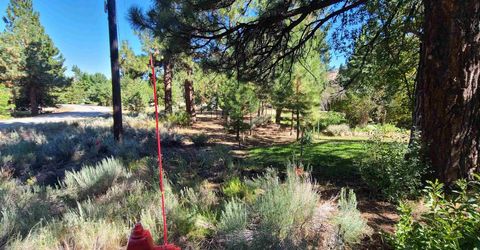 598 Longhorn Drive, Loyalton, CA 96118 Photo