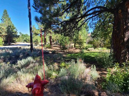 598 Longhorn Drive, Loyalton, CA 96118 Photo