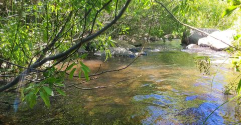 598 Longhorn Drive, Loyalton, CA 96118 Photo