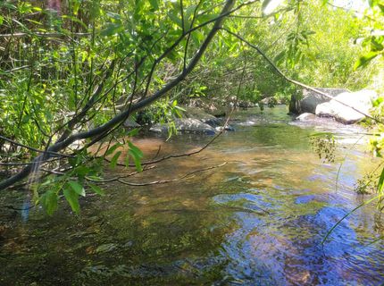 598 Longhorn Drive, Loyalton, CA 96118 Photo