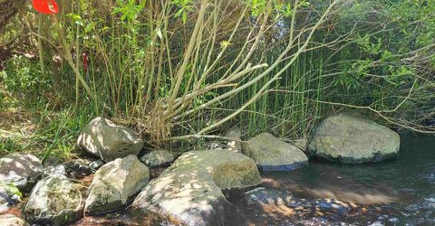 598 Longhorn Drive, Loyalton, CA 96118 Photo