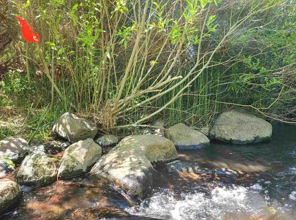 598 Longhorn Drive, Loyalton, CA 96118 Photo