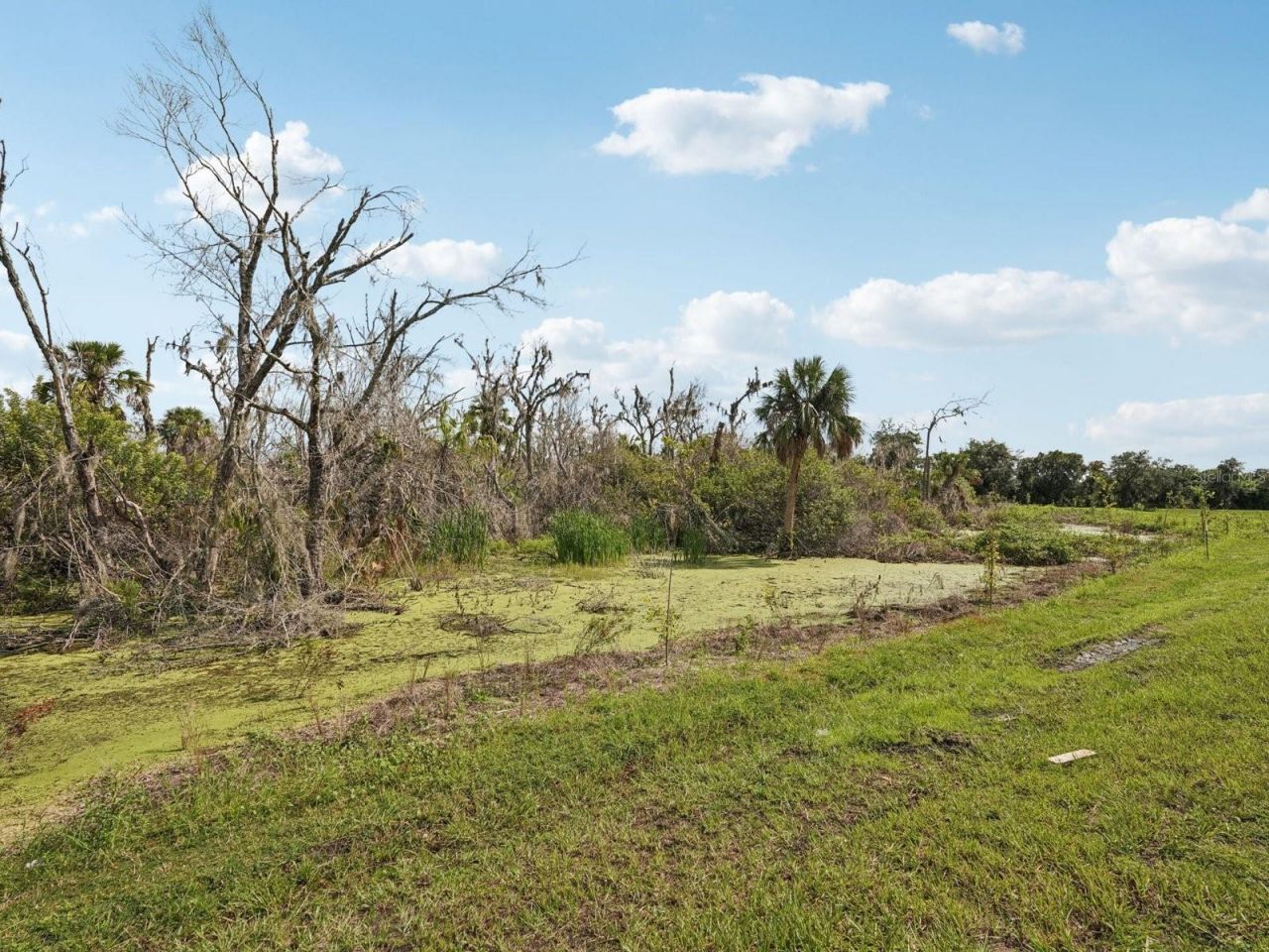 11414 Starling Song Place, Parrish, FL 34219 Photo