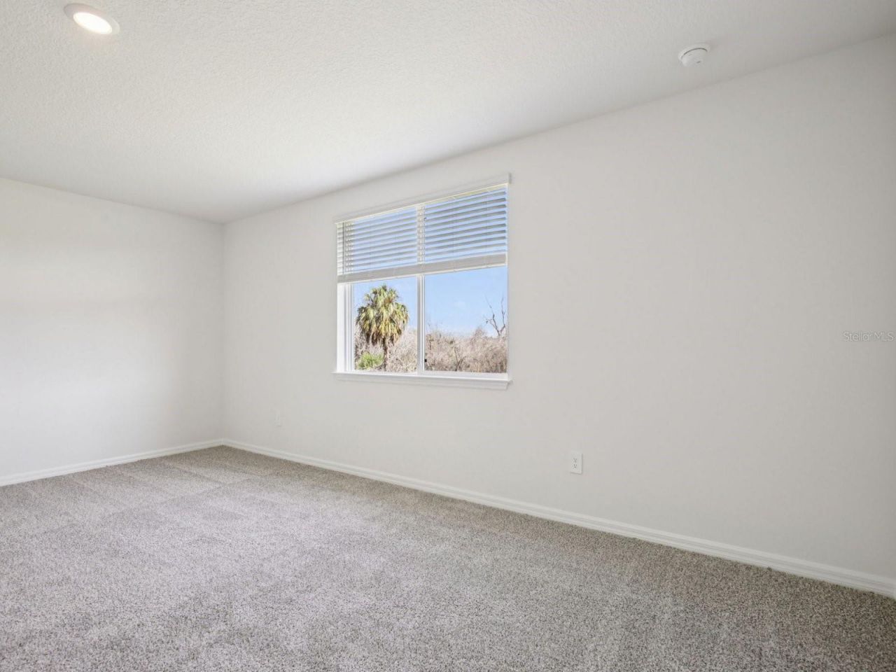 11414 Starling Song Place, Parrish, FL 34219 Photo