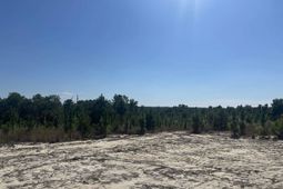 Tr 4 Providence Road photo 4