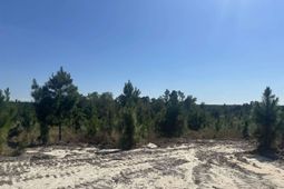 Tr 4 Providence Road photo 4