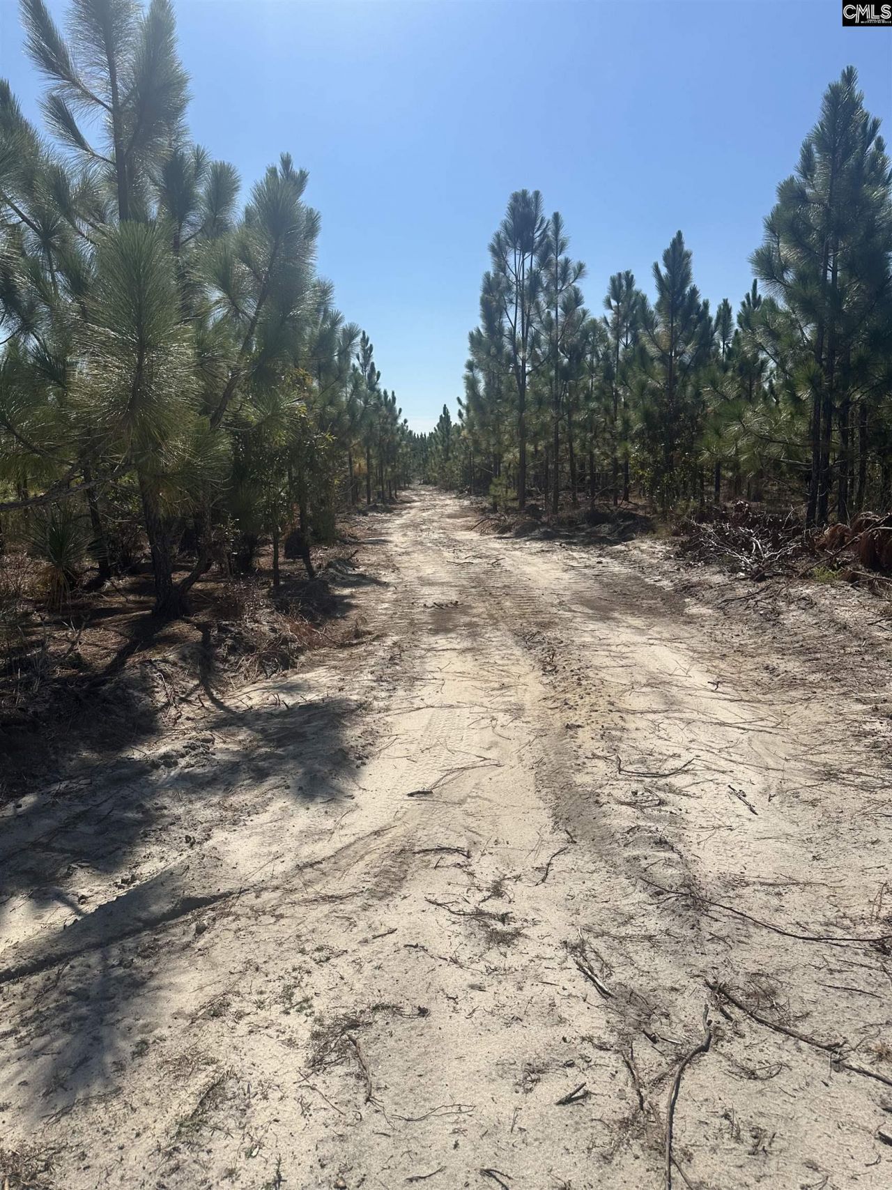 Tr 4 Providence Road Photo 4