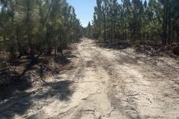 Tr 4 Providence Road photo 4