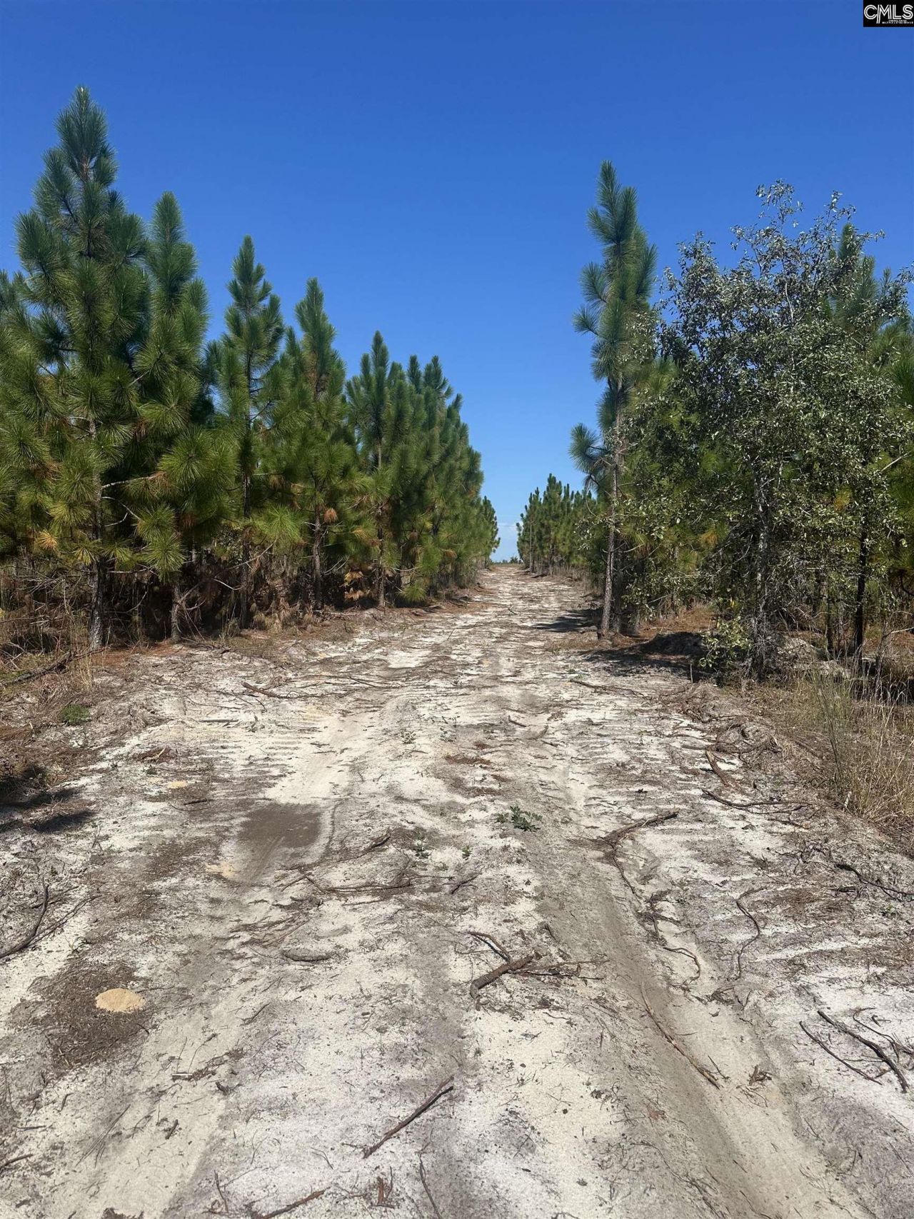 Tr 4 Providence Road Photo 5