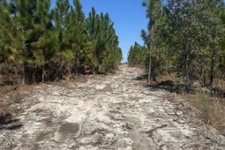 Tr 4 Providence Road photo 4