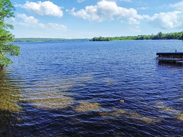 41 Milkweed Lane, Sidney, ME 04330