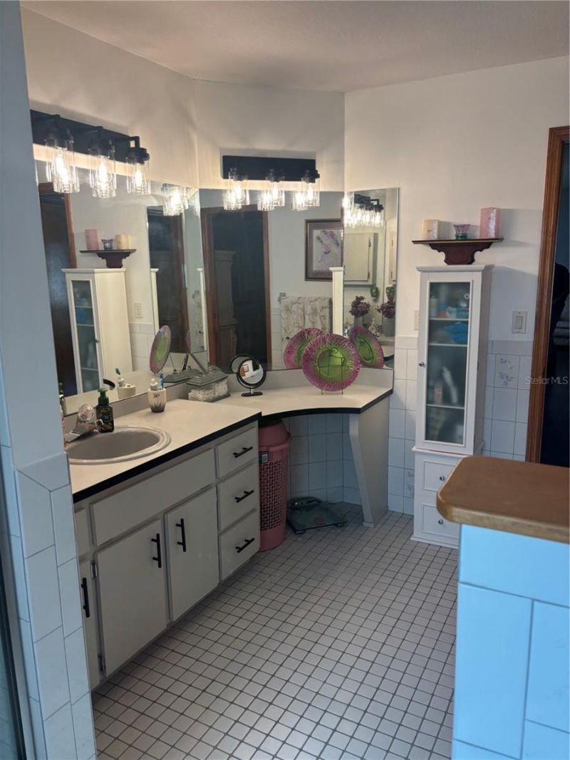 2124 Little Peach Court, Spring Hill, FL 34608 Photo