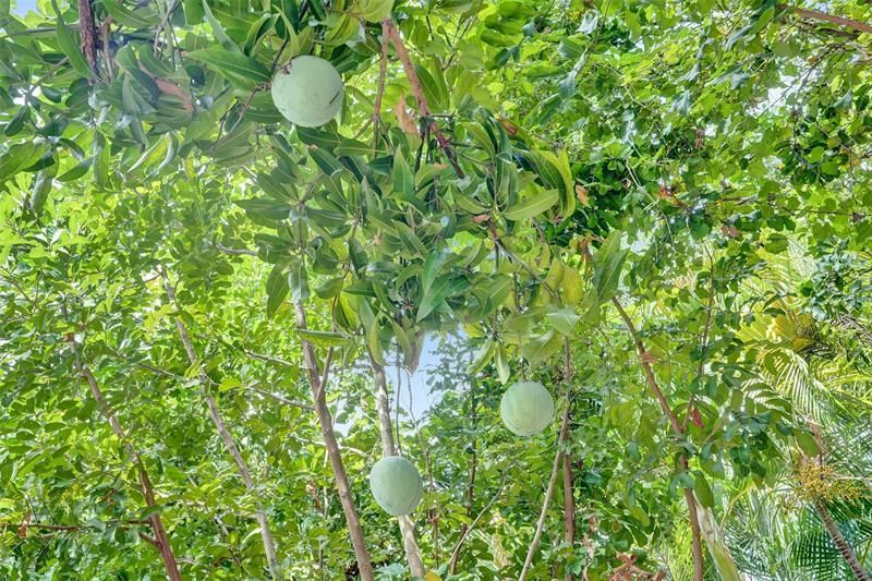 2672 NW 95th Terrace, Coral Springs, FL 33065 Photo