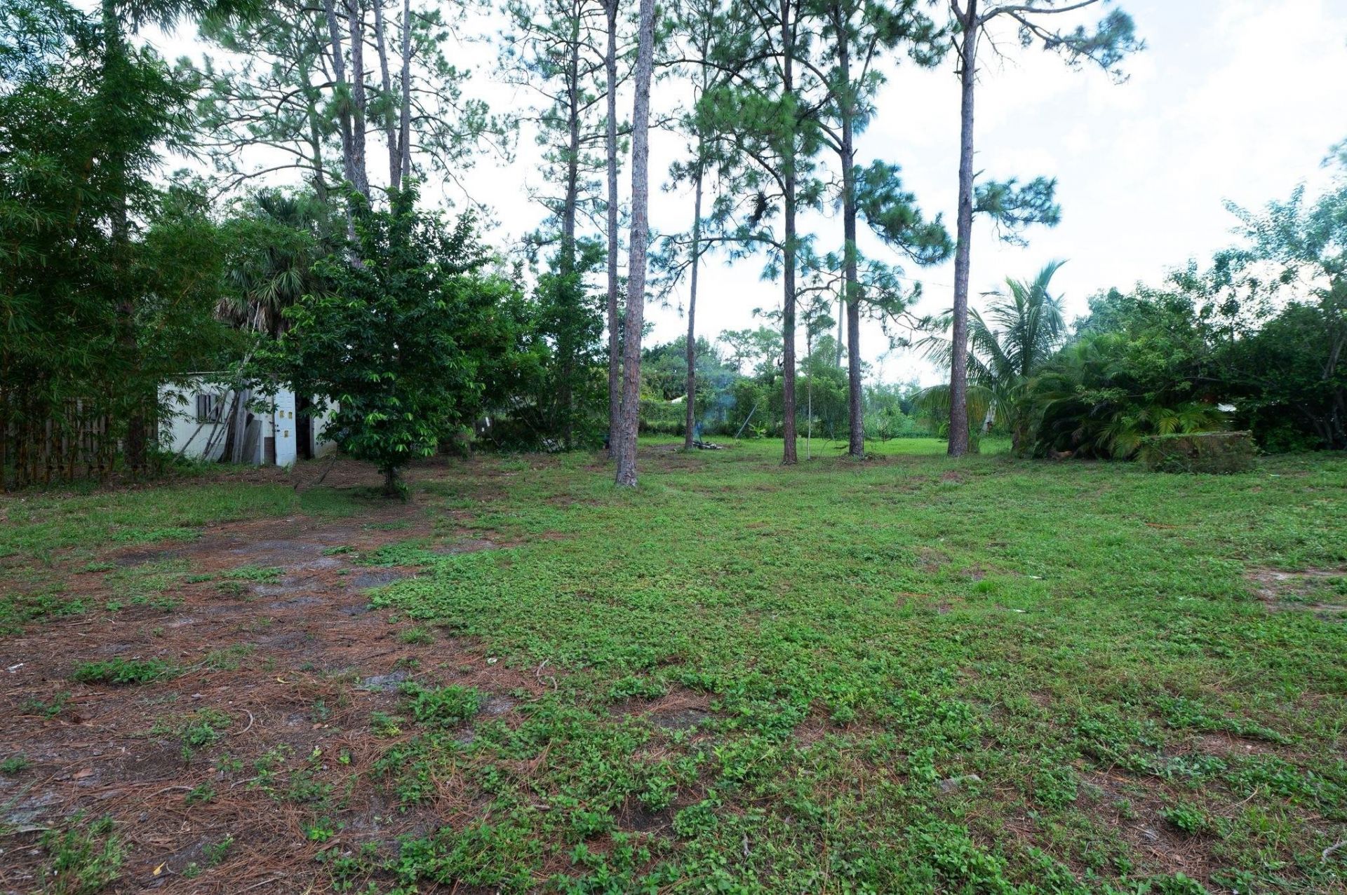 16140 E Preakness Drive, Loxahatchee, FL 33470 Photo