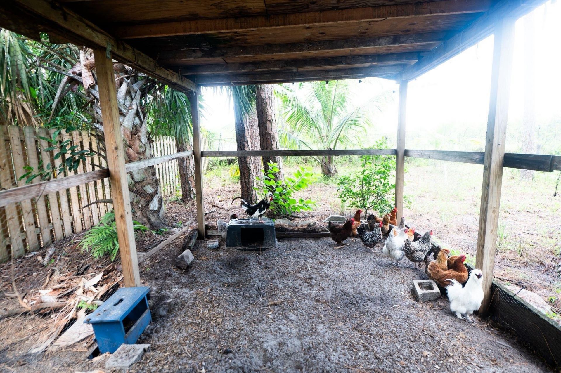 16140 E Preakness Drive, Loxahatchee, FL 33470 Photo