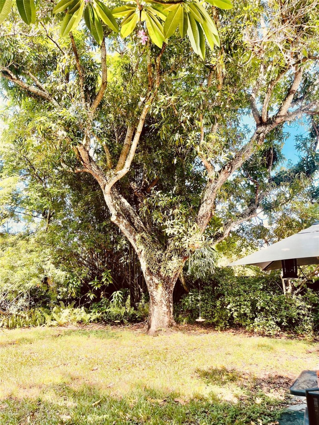 4827 NW 2nd Court, Plantation, FL 33317 Photo