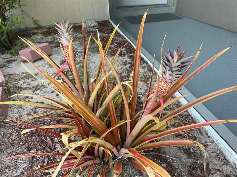 1150 SW Jumper St, Port Saint Lucie, FL 34983 Photo