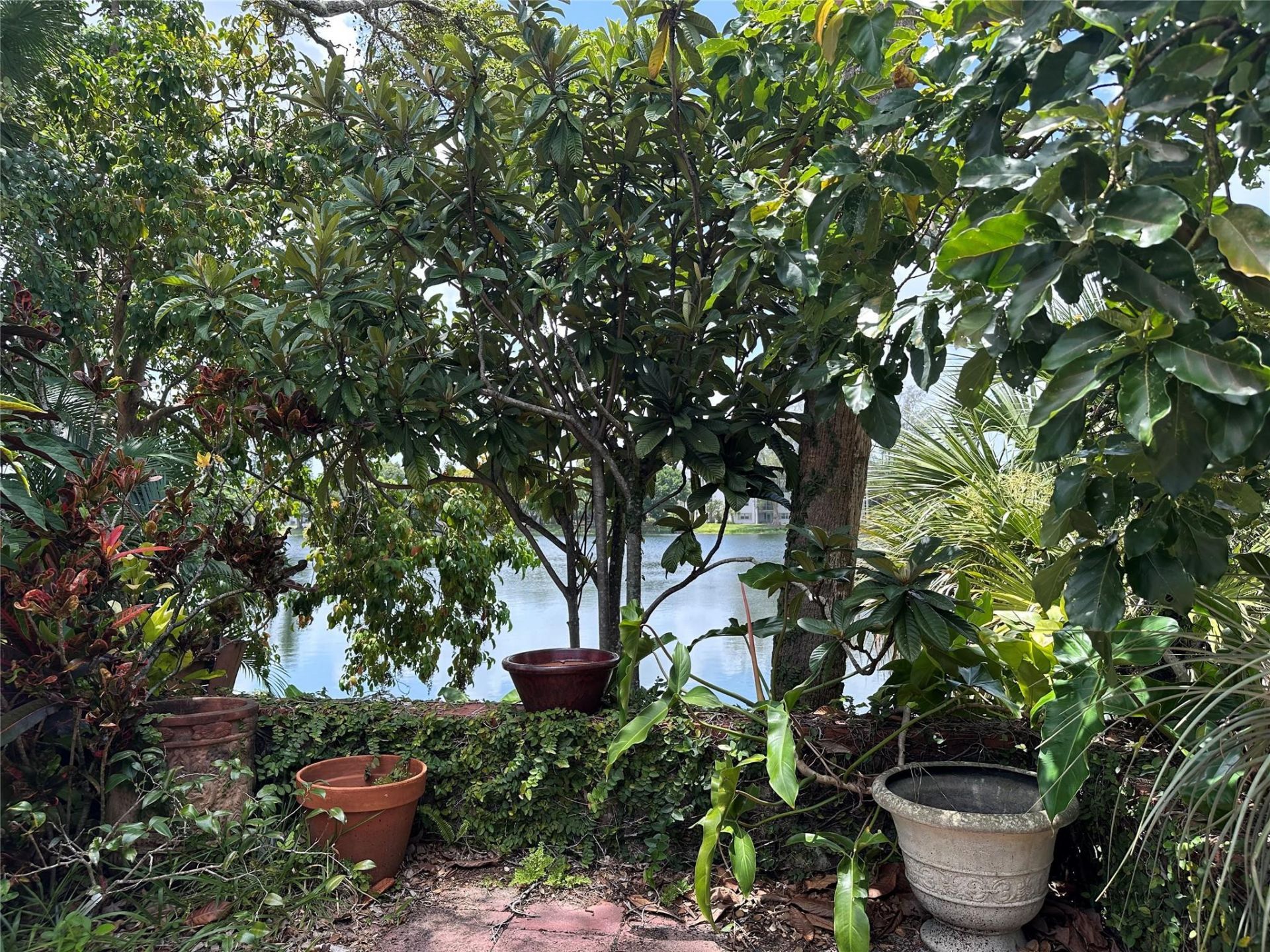 5713 Lime Hill Road, Lauderhill, FL 33319 Photo