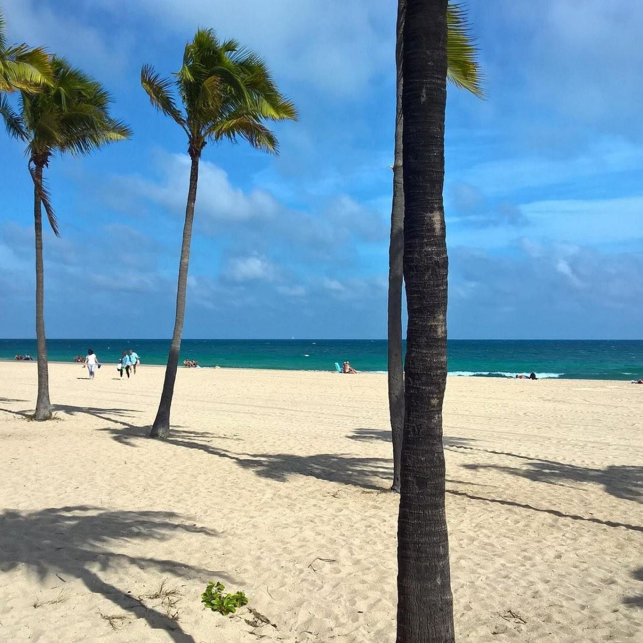 3776 Inverrary Blvd, Unit 308R, Lauderhill, FL 33319 Photo