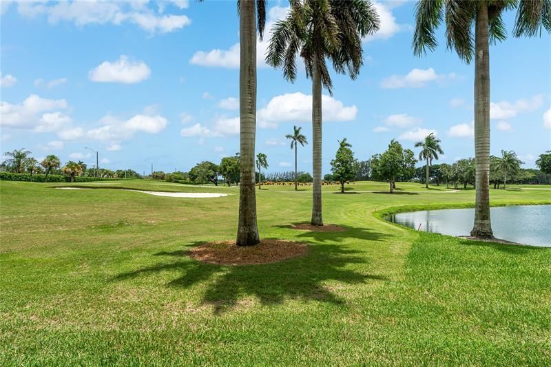 8900 Washington Boulevard, Unit 106A, Pembroke Pines, FL 33025 Photo