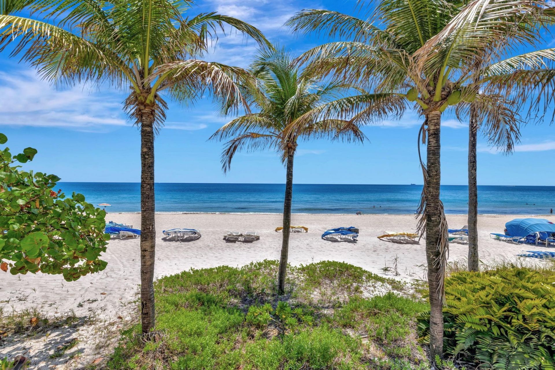 3500 Galt Ocean Drive, Unit 2212A, Fort Lauderdale, FL 33308 Photo