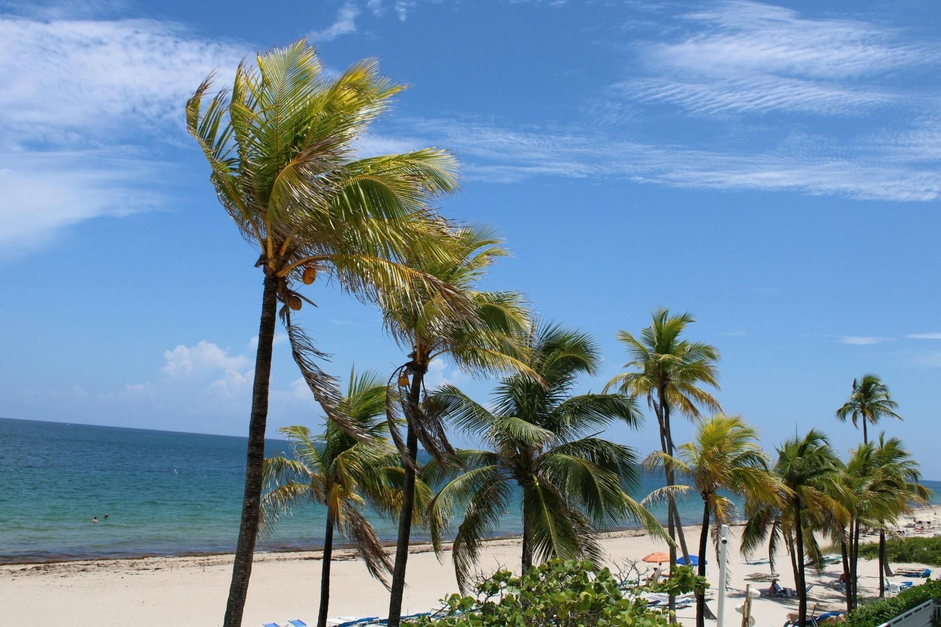 3500 Galt Ocean Drive, Unit 2212A, Fort Lauderdale, FL 33308 Photo