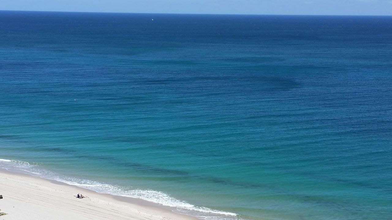 3500 Galt Ocean Drive, Unit 2212A, Fort Lauderdale, FL 33308 Photo