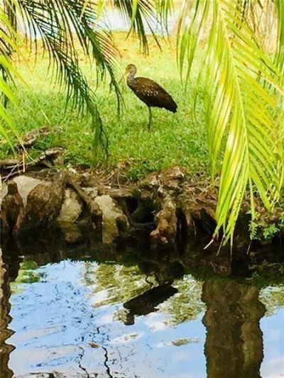 2112 S Cypress Bend Drive, Unit 203, Pompano Beach, FL 33069 Photo