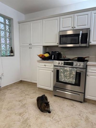 4161 Coral Tree Circle, Unit 161, Coconut Creek, FL 33073 Photo