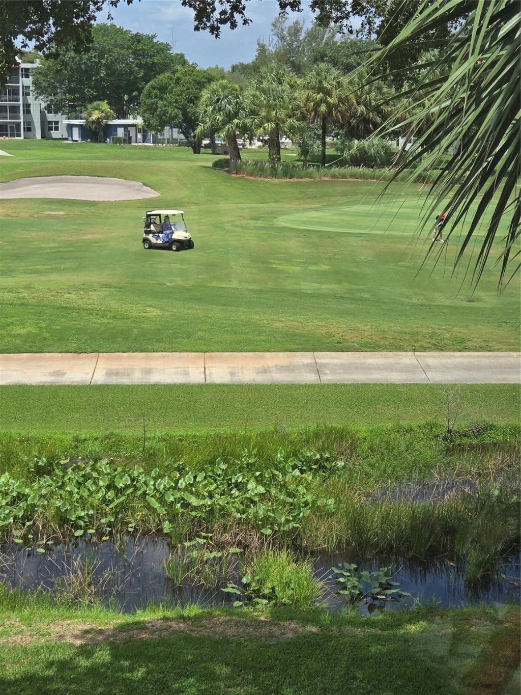 9491 Evergreen Place, Unit 304, Davie, FL 33324 Photo