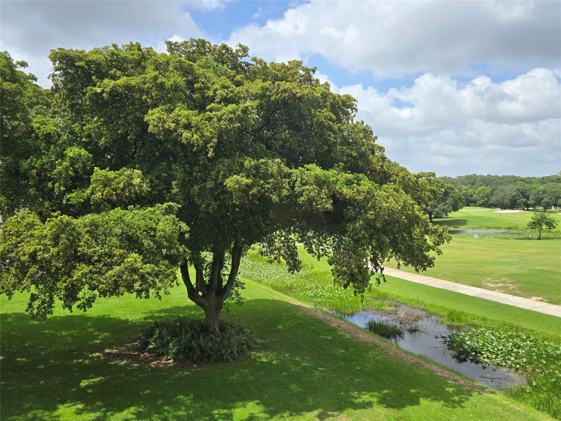 9491 Evergreen Place, Unit 304, Davie, FL 33324 Photo