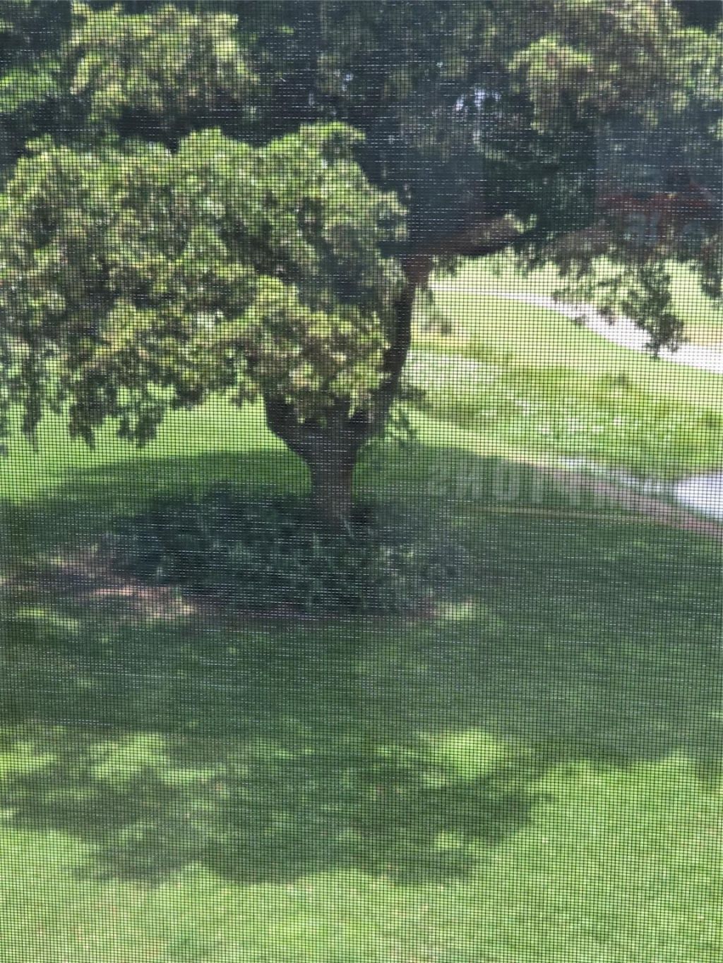 9491 Evergreen Place, Unit 304, Davie, FL 33324 Photo