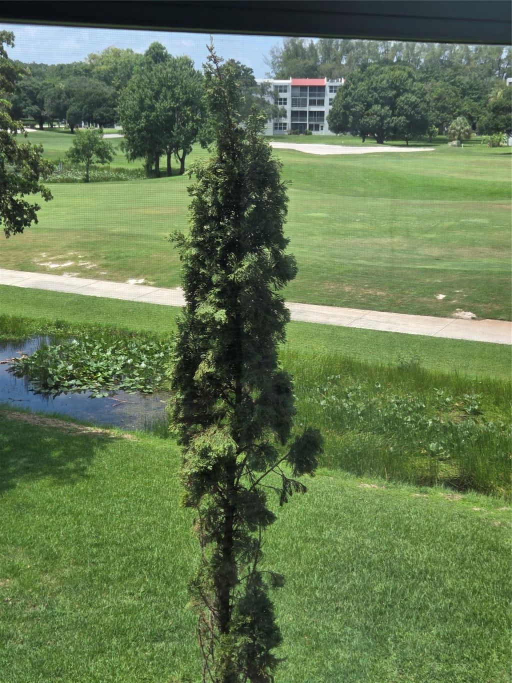 9491 Evergreen Place, Unit 304, Davie, FL 33324 Photo