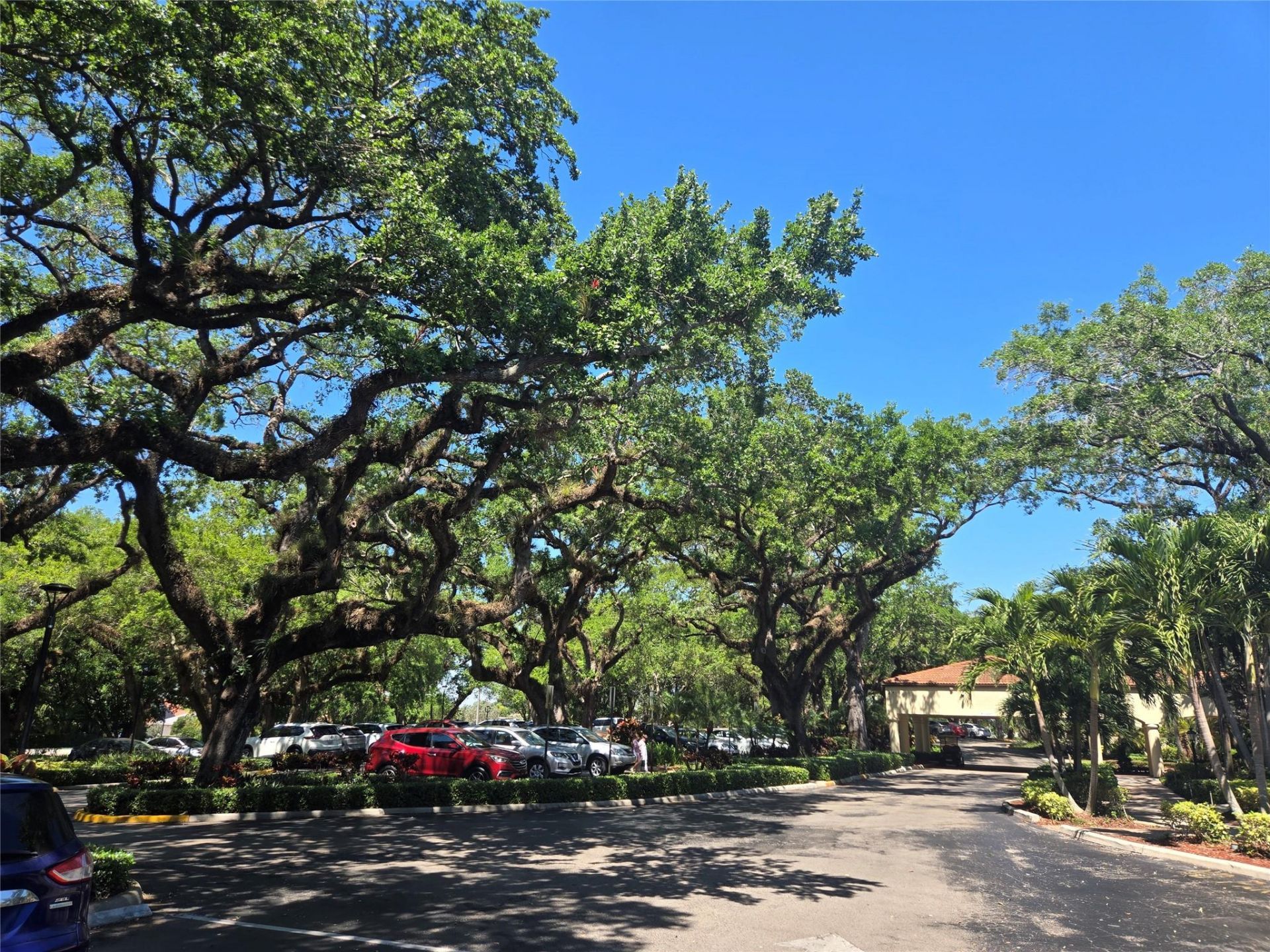 9491 Evergreen Place, Unit 304, Davie, FL 33324 Photo