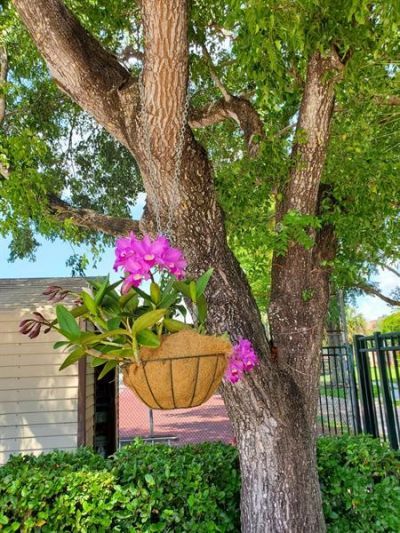 8120 SW 24th St, Unit 103, North Lauderdale, FL 33068 Photo