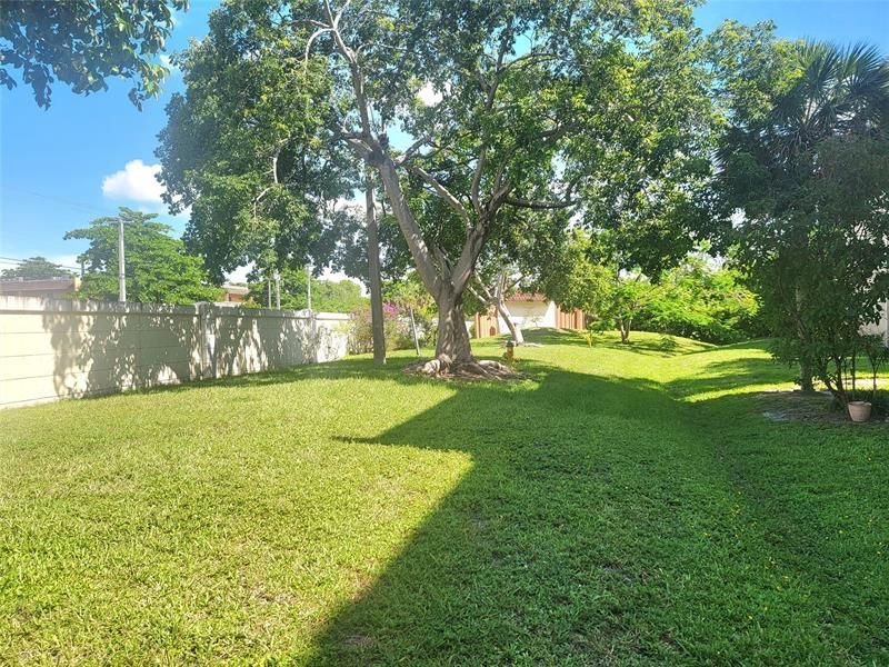 8120 SW 24th St, Unit 103, North Lauderdale, FL 33068 Photo